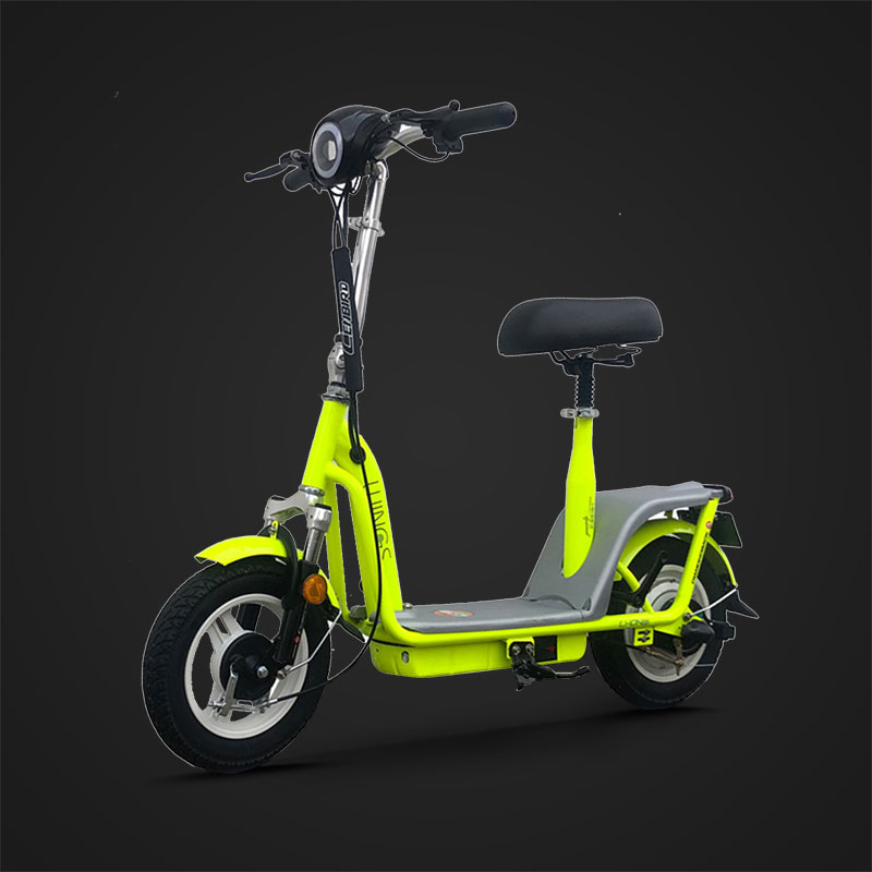 Wings electric bicycle