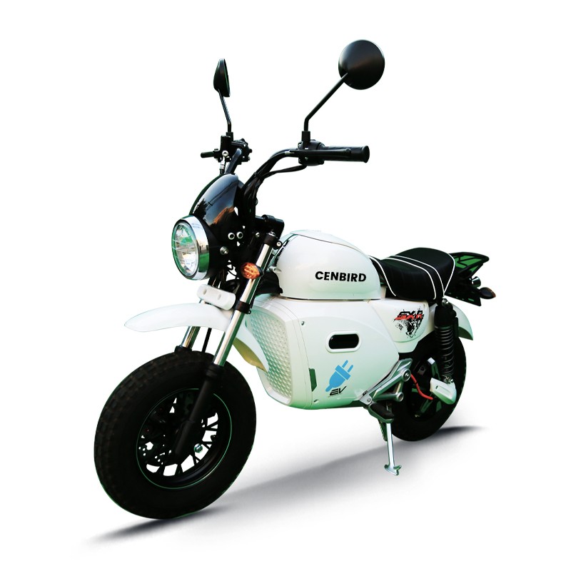 electricmotorcycle
